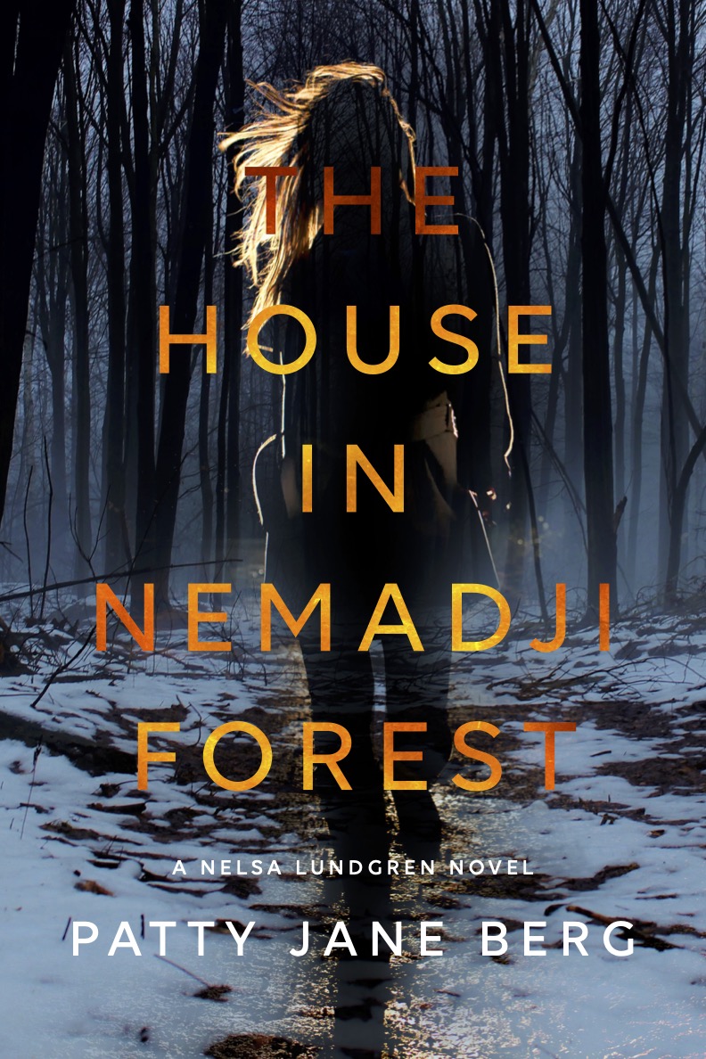 Berg_HouseInNemadjiForest_cover