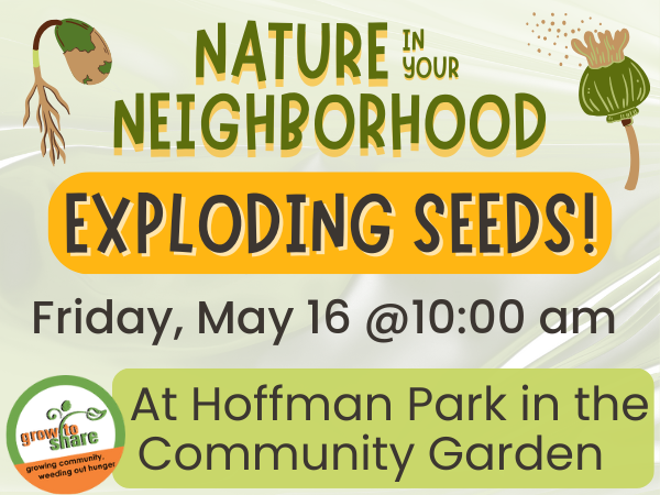 Exploding Seeds!