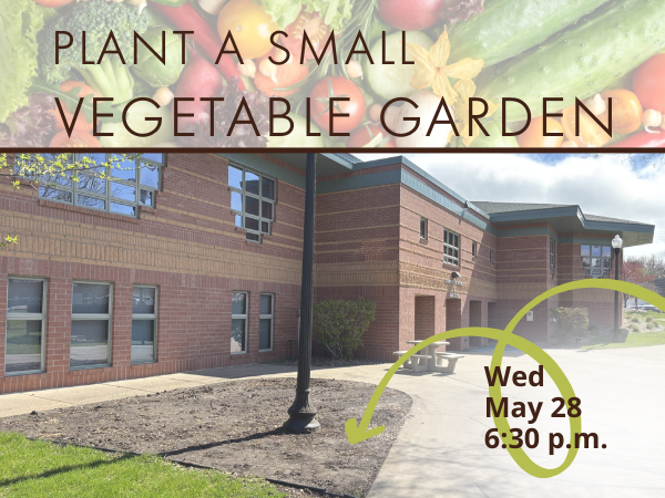mixed raw vegetables south side of library building with empty dirt spot