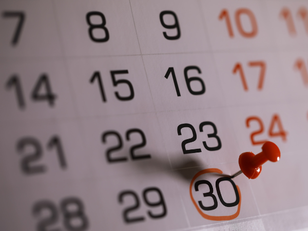 Library Events and Programs